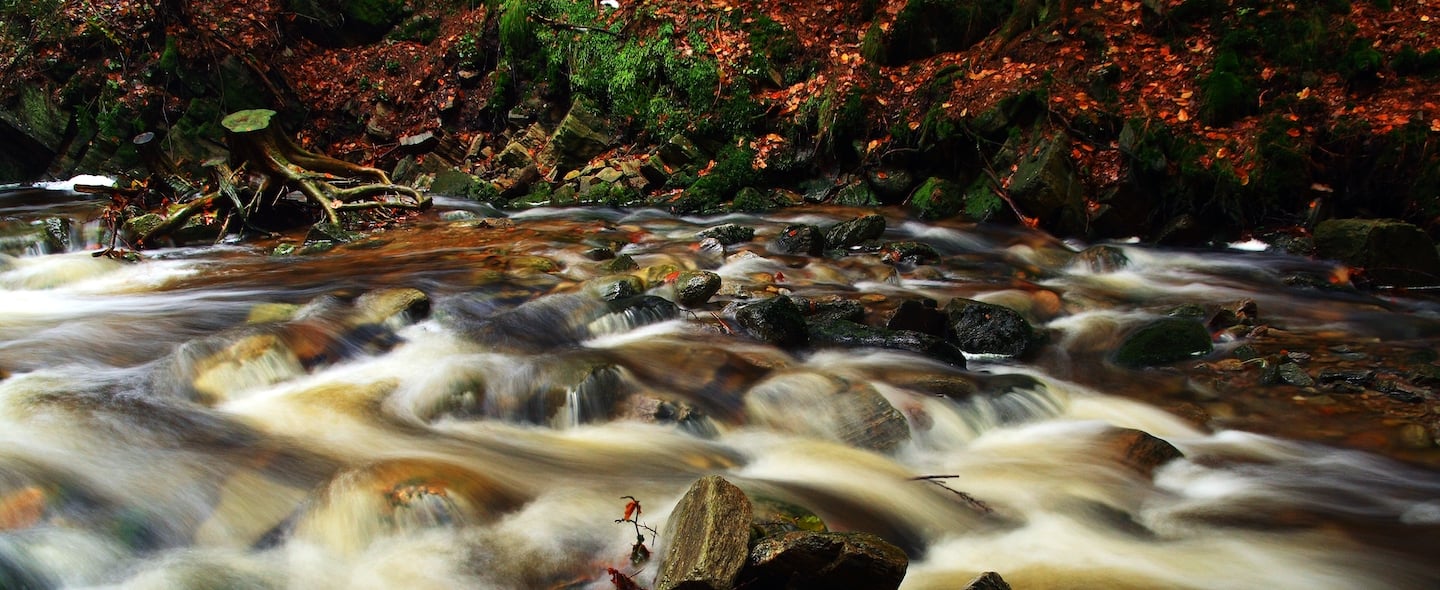 river scene cropped.jpg