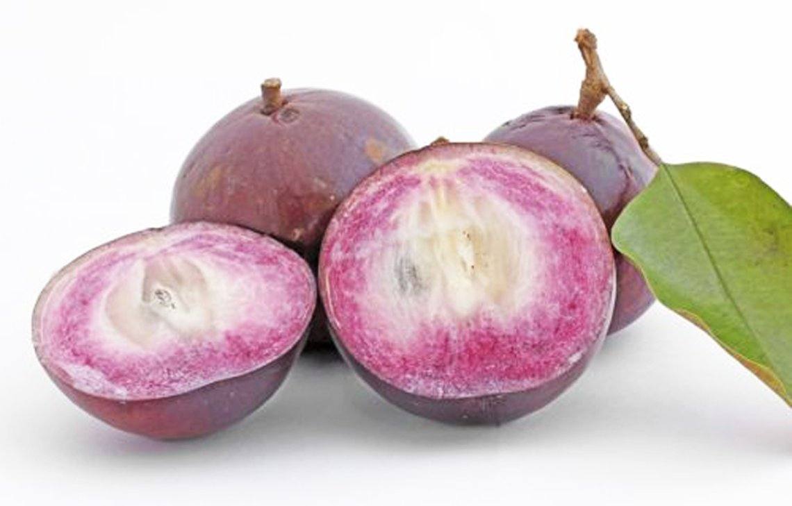 স্টার অ্যাপল (Star Apple)